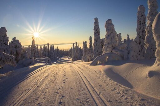 Finland - Finnish - Translation- news article