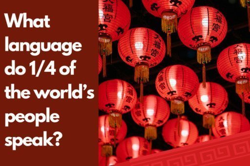 Chinese blog post