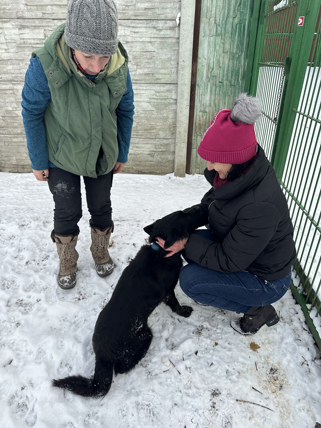 Skrivanek helps dog shelter in Litoměřice